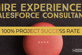 be your salesforce consultant  and developer