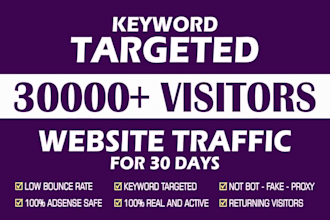 drive keyword targeted web traffic for 30 days