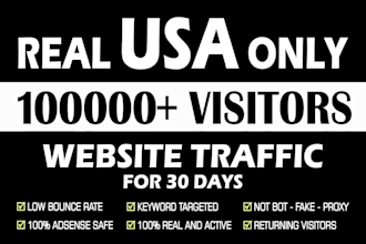 drive 100,000 USA web traffic for 30 days