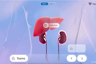 develop 3d interactive website and 3d model visualization using webgl threejs