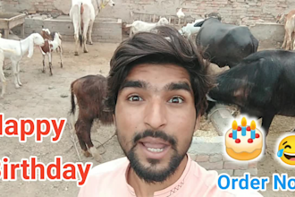 wish and sing happy birthday and say anything