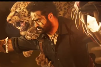 do cgi compositing, vfx horror, fire explosion, 3d animal animation, film effect