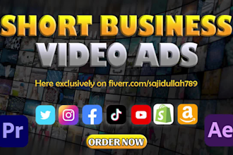 make business video ads promo ads commercial ads or tiktok ads