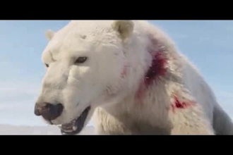 composite 3d realistic animal animation, animal character model vfx cgi xgen fur