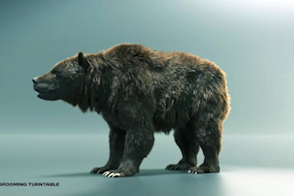do3d animal animation, 3d animal modelling, 3d animal rigging, grooming fur, vfx