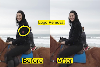 remove any unwanted object from video vfx
