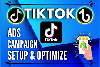 setup and optimize tiktok ads campaign, tik tok ads, tiktok advertising