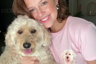 create golden doodle dog ugc for pet products