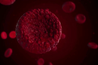 create professional 3d medical animation, surgery and anatomy explainer videos