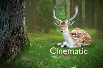 do parallax photo and image animation for you