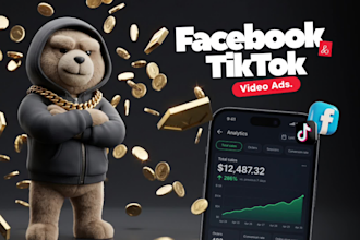 create dropshipping video ads for facebook, and tik tok