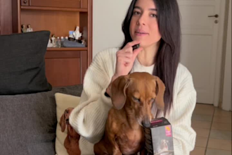 high converting dog ugc videos in italian for pet brands