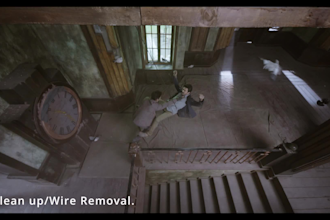 remove object, wire and greenscreen from video