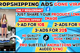 do 2 viral tiktok dropshipping video ads, tik tok ads in 24 hours
