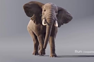 integrate 3d animal animation, 3d animal model, compositing vfx, 3d cgi animal