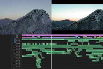 deliver professional video editing and short film editing