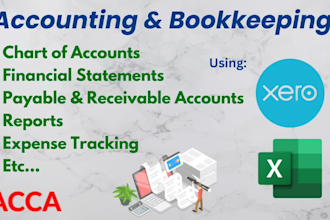 do bookkeeping, accounting and financial reports for small businesses