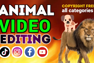create pet animals copyright free videos for social media