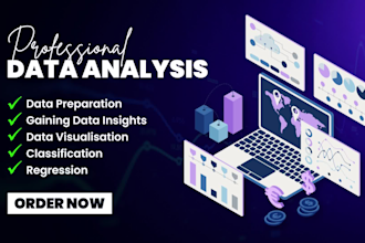 provide professional data analysis and data mining services