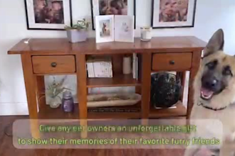 create lifestyle amazon product video or photo with pets