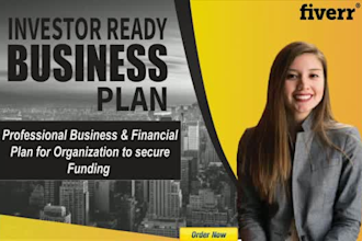write investor ready business plan, proposal for startups, business plan writer