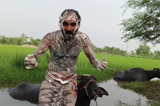 wish funny happy birthday video or happy birthday video