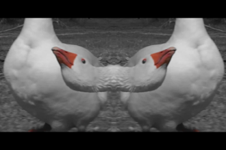 edit an electronic music video with any subject