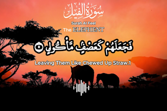 make high quality quran recitation videos like zikrullah tv