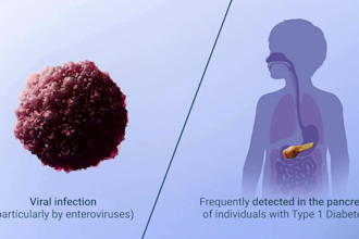 create 3d pharmaceutical mechanism of action moa medical animation