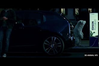 do realistic 3d animal animation, 3d  model, rig, 3d creature design bear ,vfx