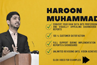 create professional power bi reports and dashboards