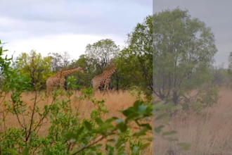 do professional video editing, color correction and color grading