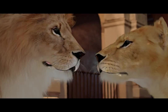 integrate cgi 3d photorealistic animal animation to your footage and film vfx