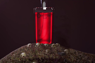 model your 3d products and do realistic animation and render