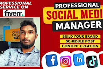 be your facebook instagram marketing manager, content creator