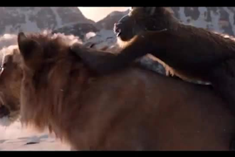 do cgi realistic 3d animal animation, 3d character design, vfx xgen hair fur