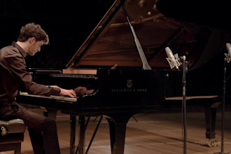 give professional piano lessons, from basic to advanced