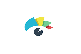 create superb custom intro logo animation