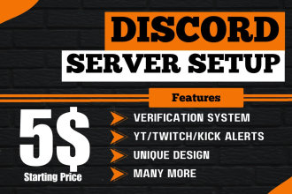 do discord server setup for you