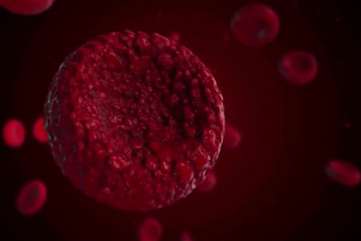 create full HD 3d medical animation surgery anatomy biology medical in blender