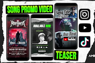 do music promo video for instagram  youtube facebook