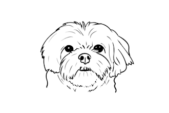 draw and convert your pet dog or cat to tattoo design