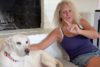 create scroll stopping pet ugc videos with my real dog
