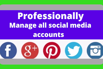 professionally manage all social media accounts