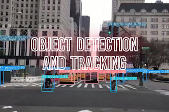 do professional machine learning, deep learning, ai projects