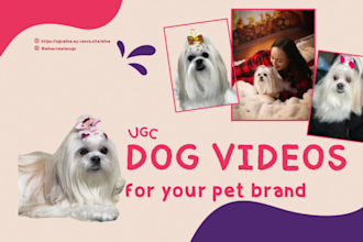 create cute dog ugc videos for your pet brand