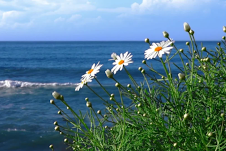 50 x 1 hour meditation relaxing music videos