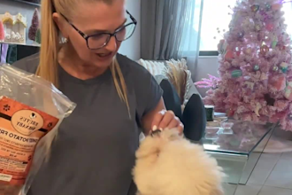 create pet ugc video ads for tiktok, instagram or facebook