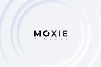 make logo animations intro for businesses, youtube