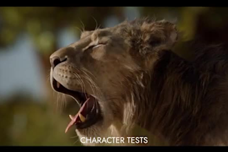 do realistic 3d animal animation, cgi animal model and rig, vfx lion, for film